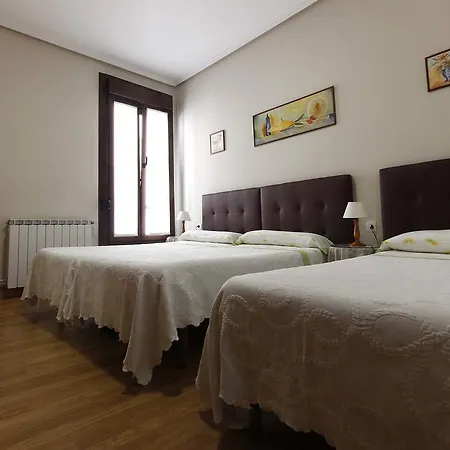 Loinaz San Sebastián